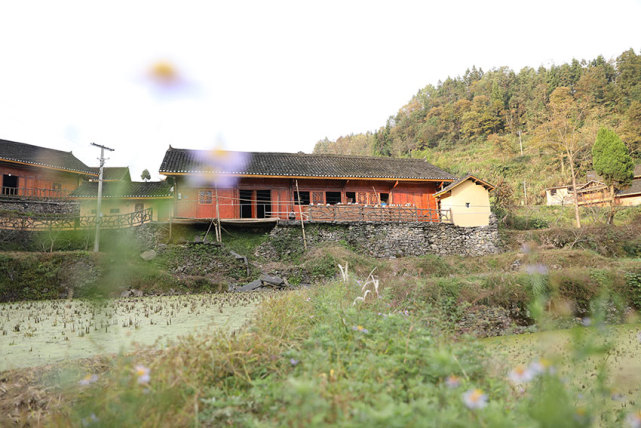 美麗鄉村·湖南十八洞村：一個把農村建得更像農村的地方 未分類 第2張