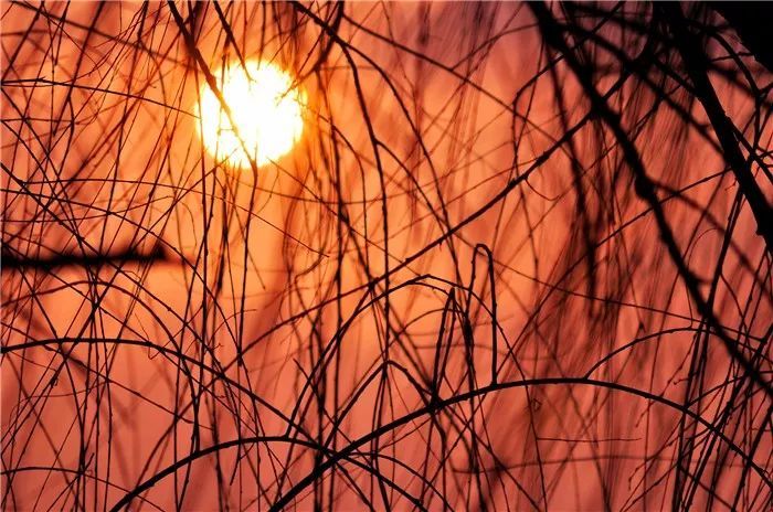 回文诗|如此才华横溢的诗，你见过吗？绝了！