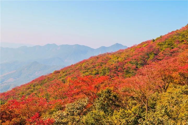 春有油菜花,夏是避暑勝地 秋冬有漫山紅葉和香雪海 可以說,石門國家