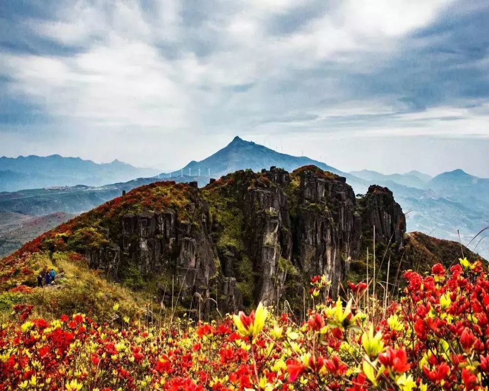 三级·鲤鱼山,象山,鹿峰山·鹿峰云雾