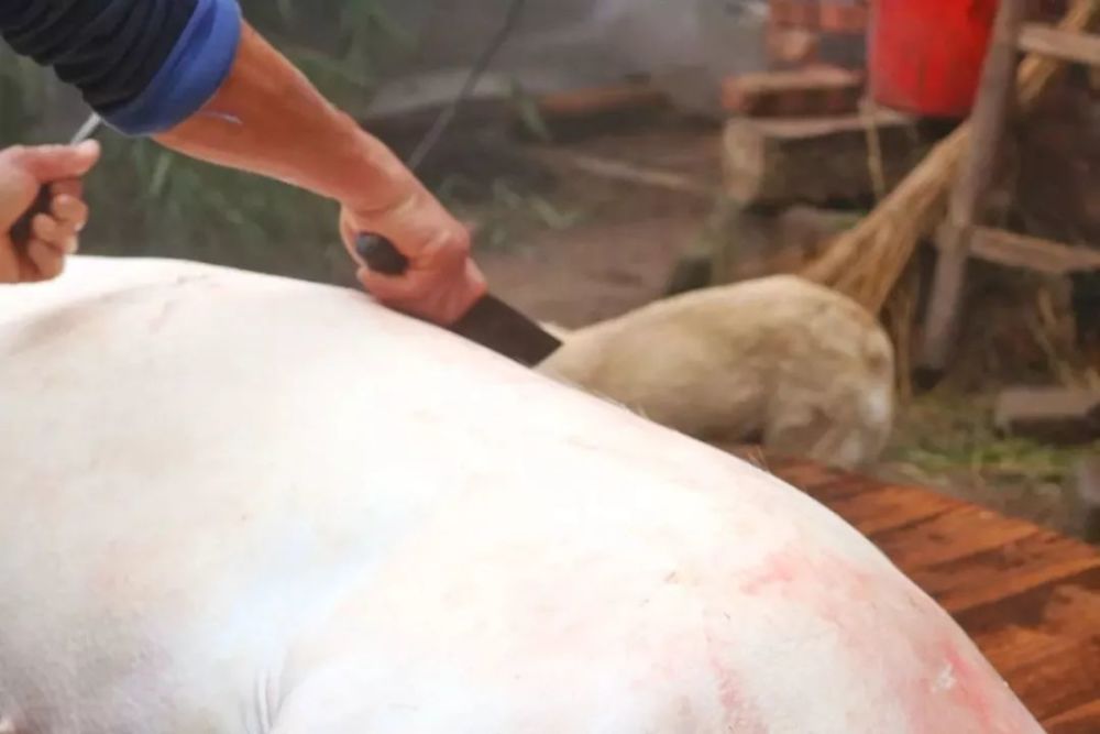 宜宾这些地方的人,赶紧回家,因为…_腾讯新闻