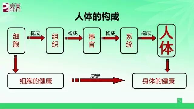 要想知道人为什么会生病,先要了解人体基本结构人为什么会生病?