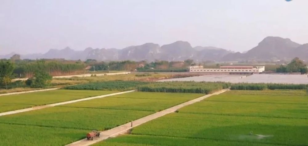 果園水鄉綠道遊:龍潭公園,小洲村,生物島,大學城,化龍田園風光,石樓古