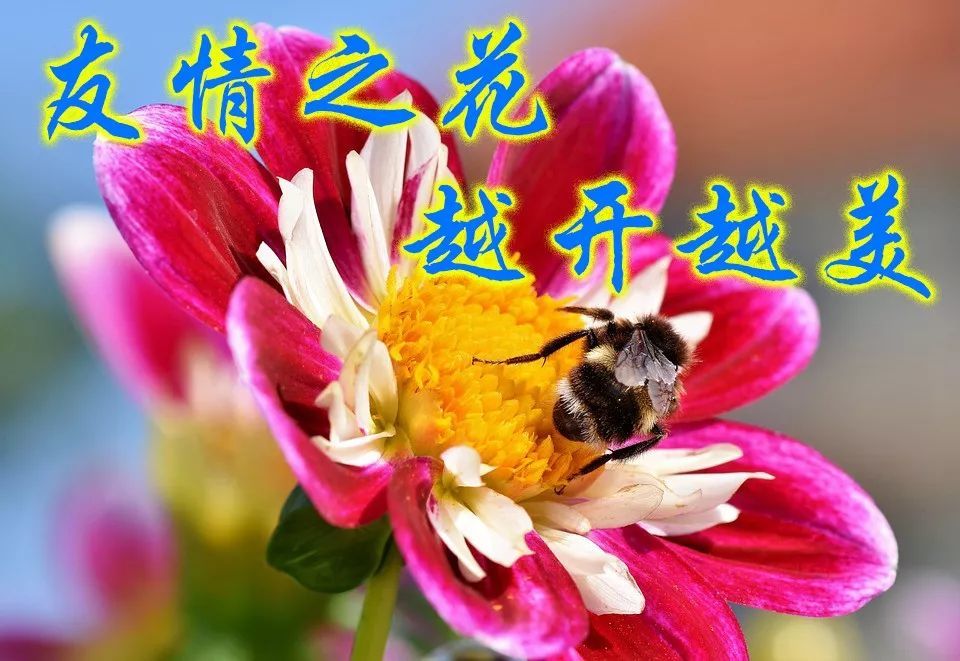 11,有一个清醒的头脑比有一个聪明的头脑更重要;有一种良好的习惯比有