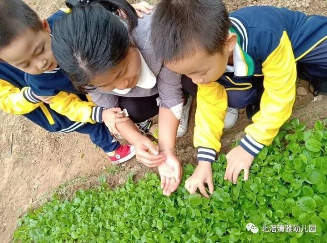 清雅幼儿园2019年春季招生优惠方案