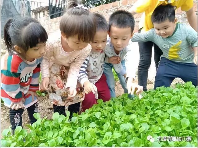 清雅幼儿园2019年春季招生优惠方案