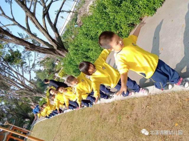 清雅幼儿园2019年春季招生优惠方案