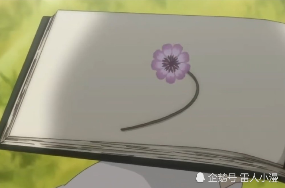 夏目友人帐 山神只是看到了一朵花的标本 看哭了是个什么操作 热备资讯