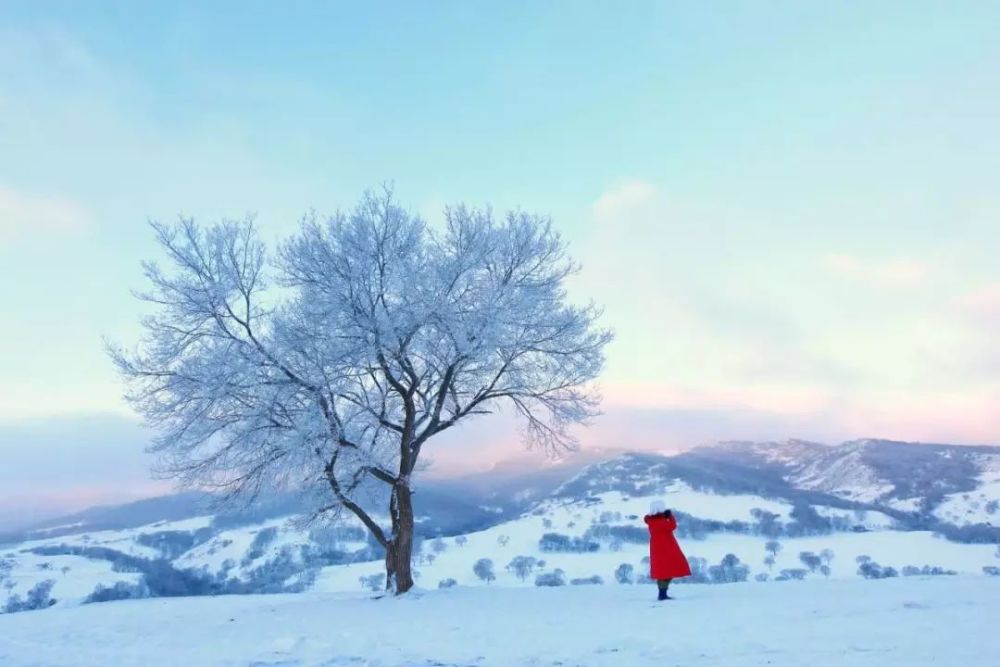 冬天十分美 东北雪景最无敌 纯洁的铺天盖地 腾讯新闻