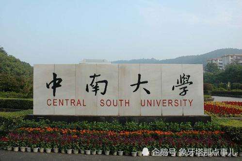 这位985大学女教授,四六级满分记录至今无人能