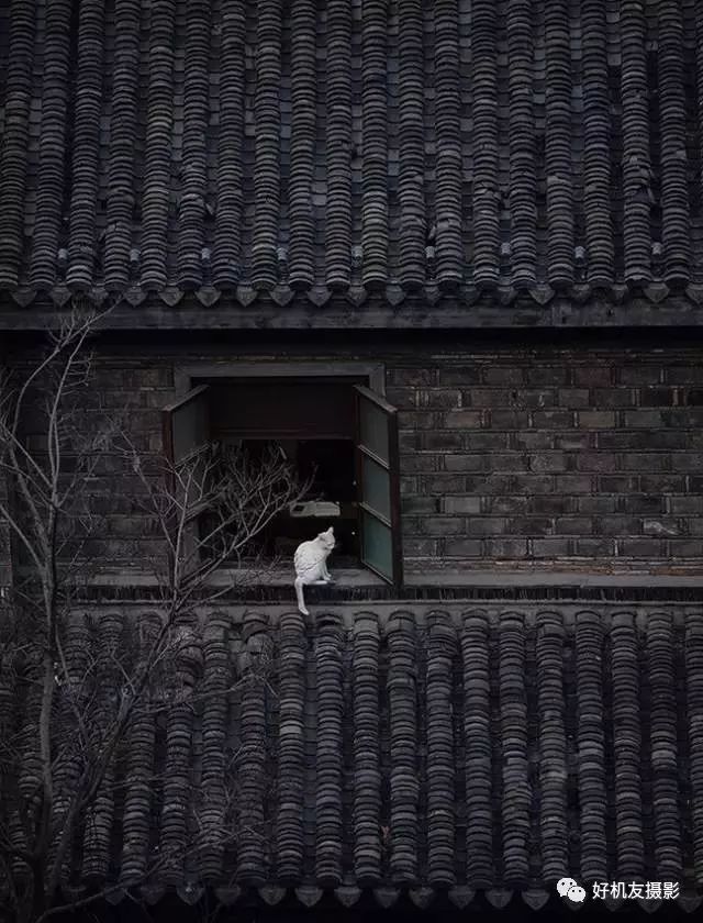 神奇的點構圖用好了你就是高手