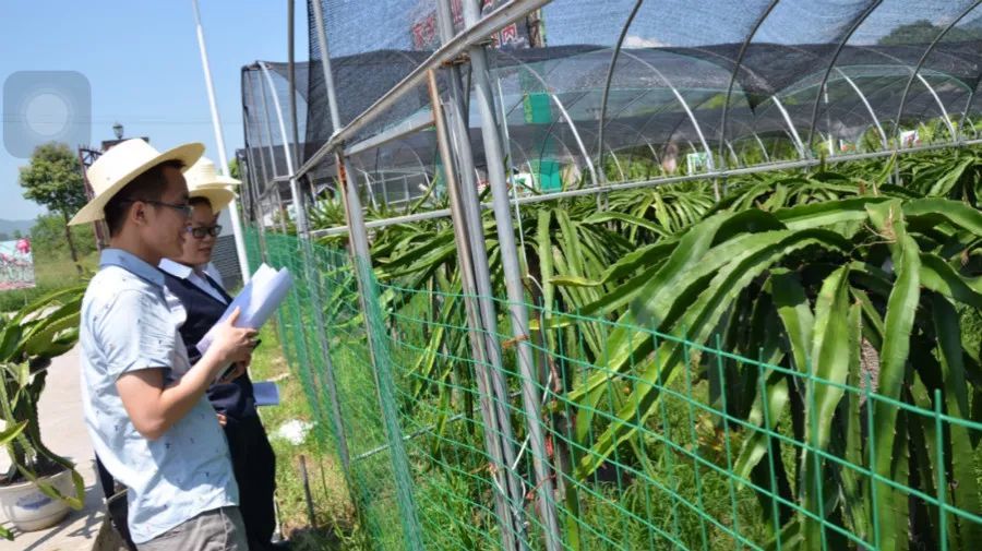 三个重庆人的贷款故事:个人办贷款,就该这样办