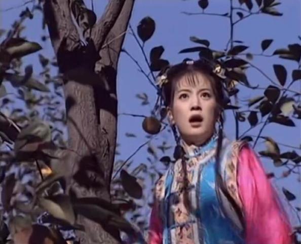 还珠:小燕子偷柿子后,紫薇只说了一句话,立刻暴露了情商