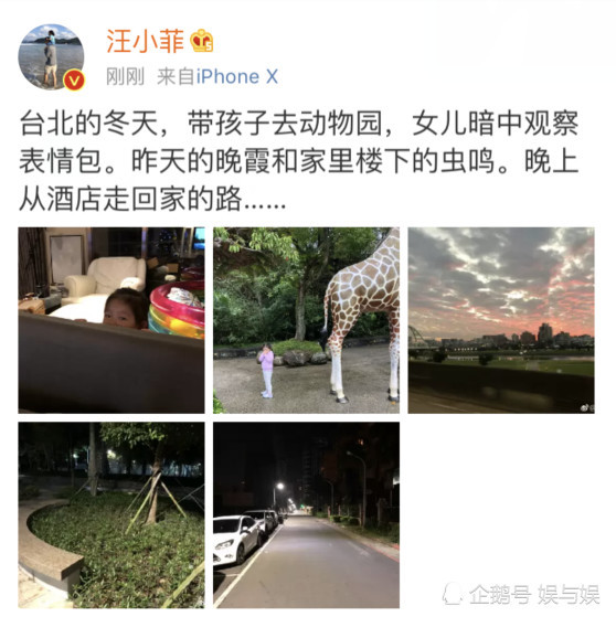 汪小菲帶女兒遊動物園，小玥兒長成翻版大S細長腿搶鏡(組圖)