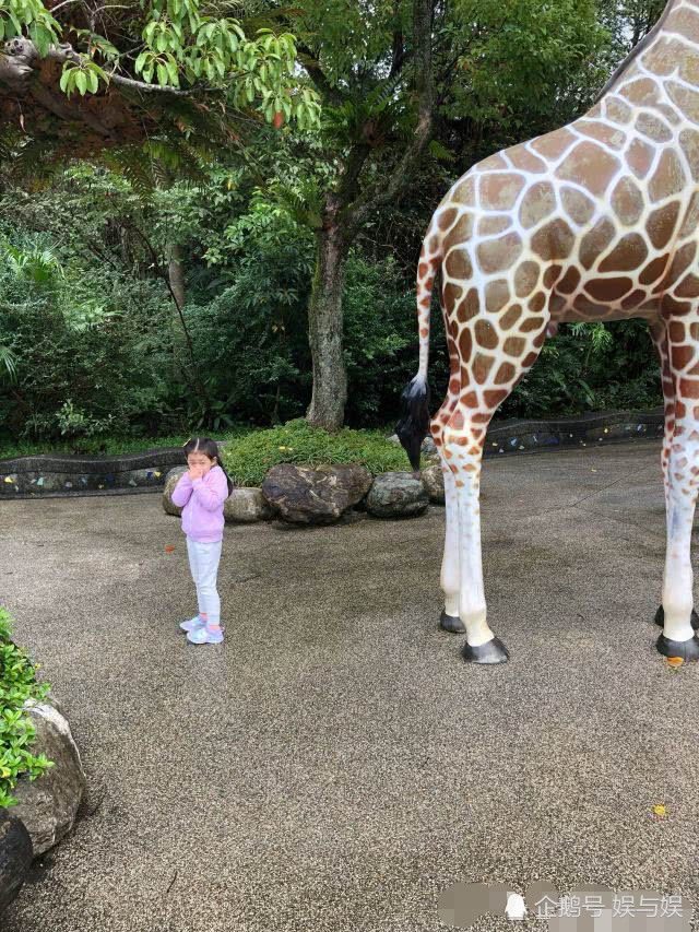 汪小菲帶女兒遊動物園，小玥兒長成翻版大S細長腿搶鏡(組圖)