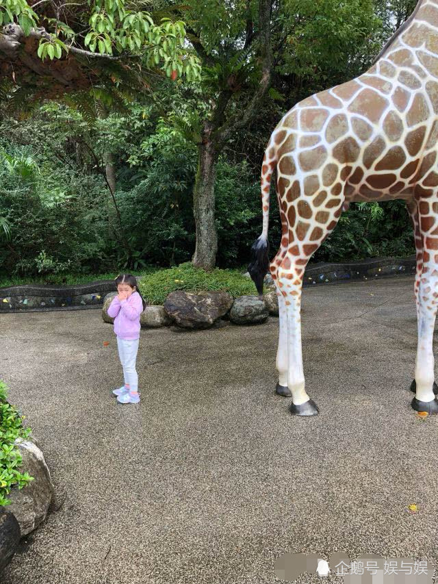 汪小菲帶女兒遊動物園，小玥兒長成翻版大S細長腿搶鏡(組圖) 娛樂 第3張