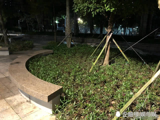 汪小菲帶女兒遊動物園，小玥兒長成翻版大S細長腿搶鏡(組圖)