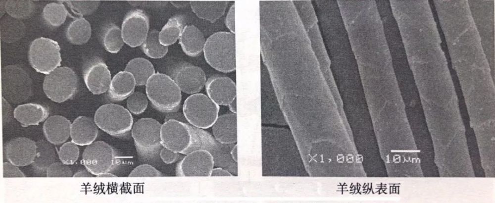 绵羊毛山羊绒驼毛兔毛耗牛绒水貂毛傻傻分不清楚