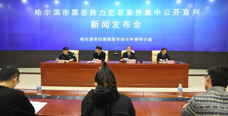 黑龙江各地法院对80件黑恶势力犯罪案件公开