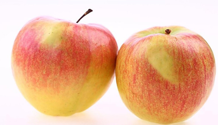 晚上吃苹果,到底有什么好处?今天告诉你们答案