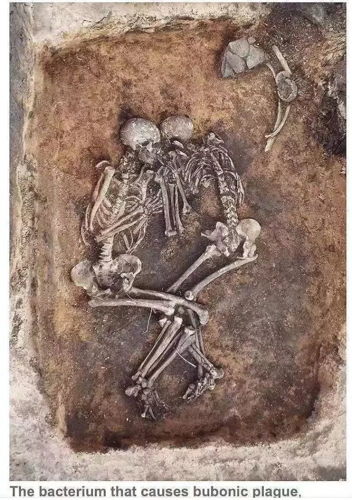 早期高级烹饪、古希腊商船:盘点2018世界十