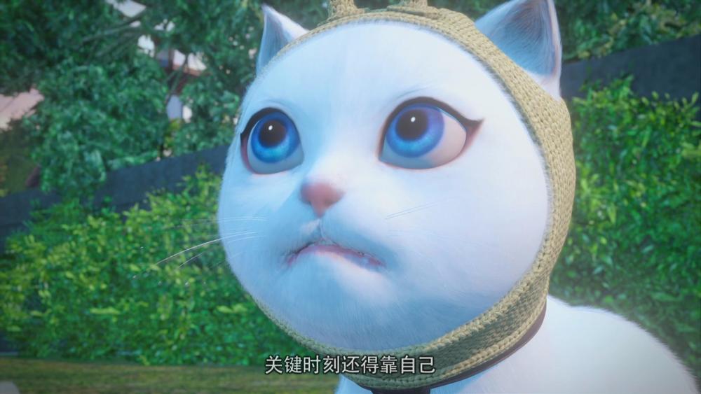 爱恨两难插他两刀猫妖的诱惑今日开播