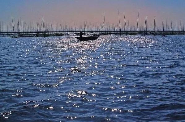 南京冬天适合一日游的10个地方 人少景美有腔调 腾讯新闻