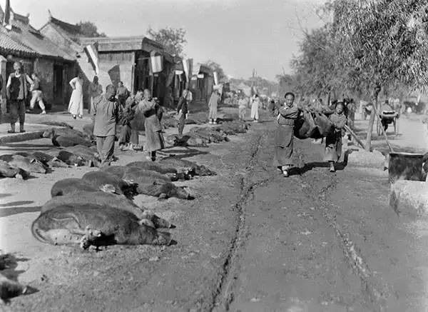 西德尼·戴维·甘博|鞋盒里发现的老照片轰动了全世界