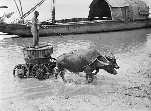 西德尼·戴维·甘博|鞋盒里发现的老照片轰动了全世界