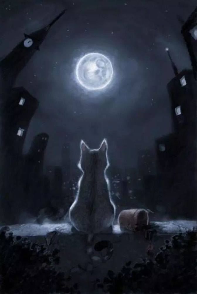 也曾想过,如果我们若不曾遇见,就没有各自的寻找,各自想念_腾讯新闻