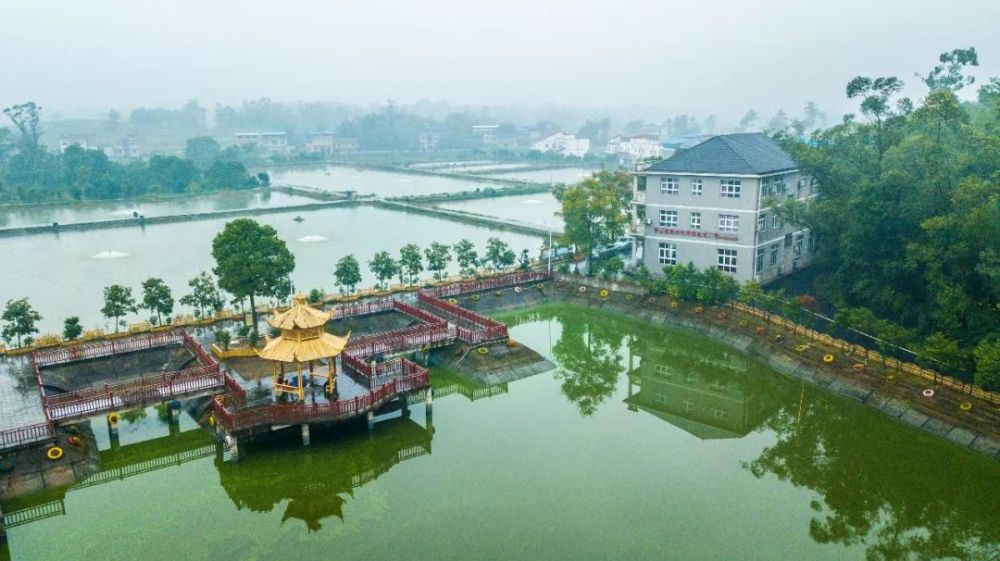 传统渔业转型升级,梁平奏响新版"渔光曲"_腾讯新闻