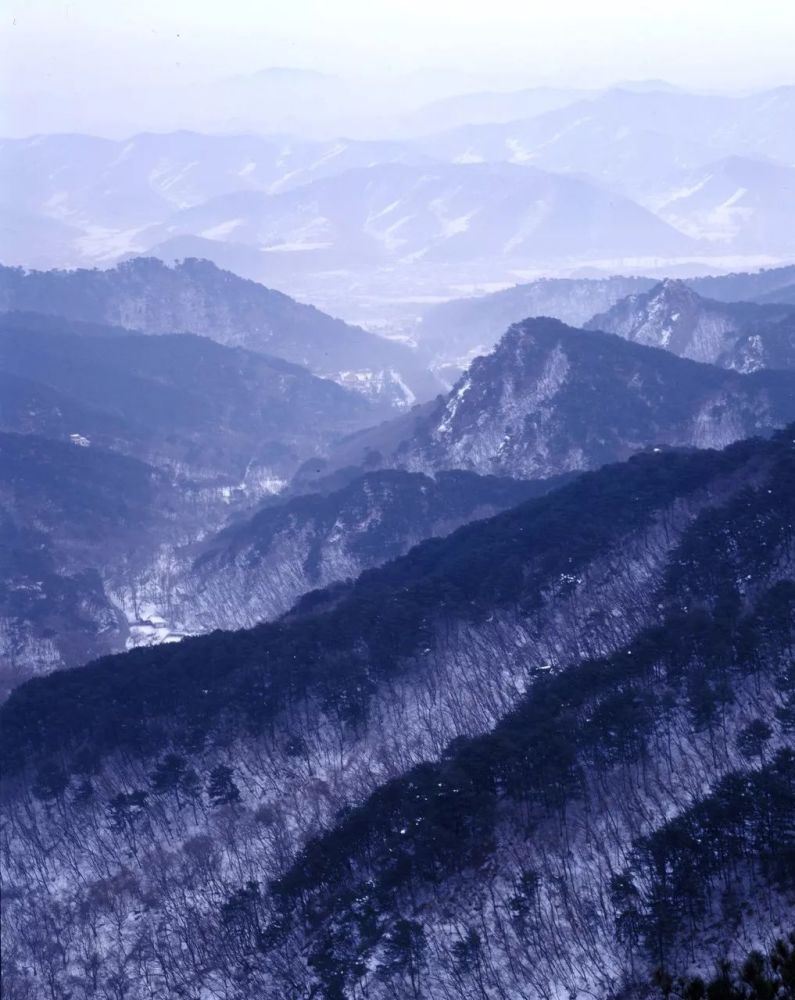 中国最美的雪国列车 一路向北 开往童话之地 美哭 腾讯新闻