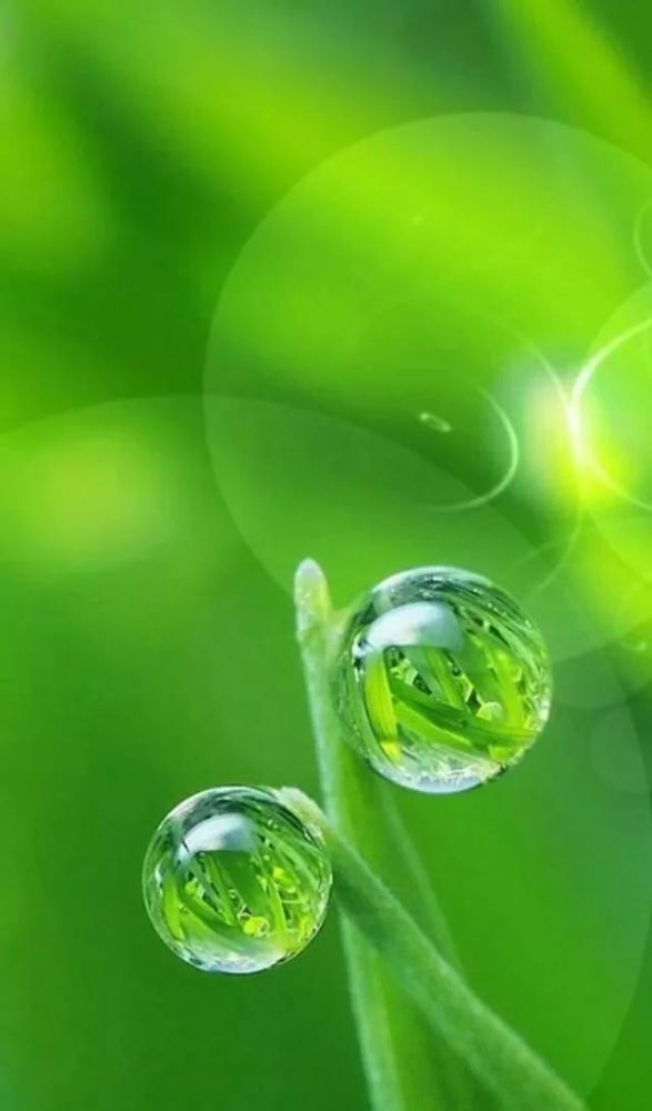 小清新图组带你慢下来品味生活优质背景图拂去你心里的尘埃