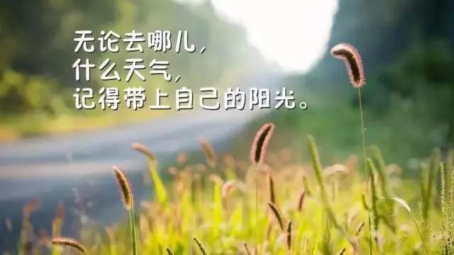 心灵鸡汤励志经典语录,拿去发朋友圈_腾讯新闻