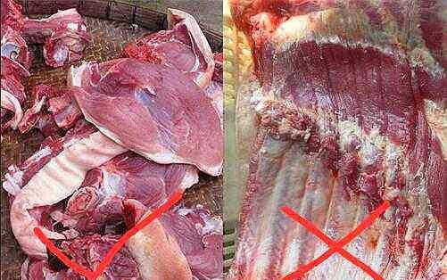 公猪肉和母猪肉有什么区别?老屠夫:很多人