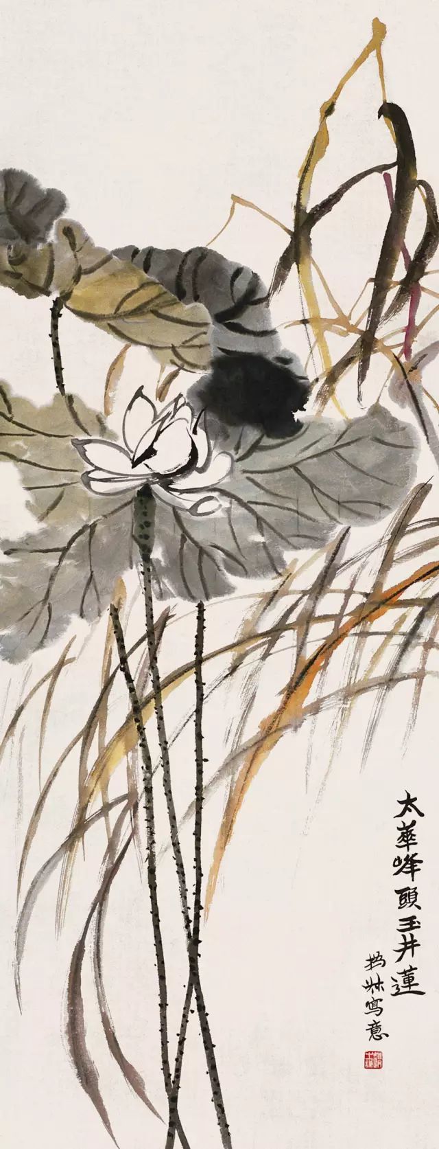 赵之谦|赵之谦——花鸟作品欣赏