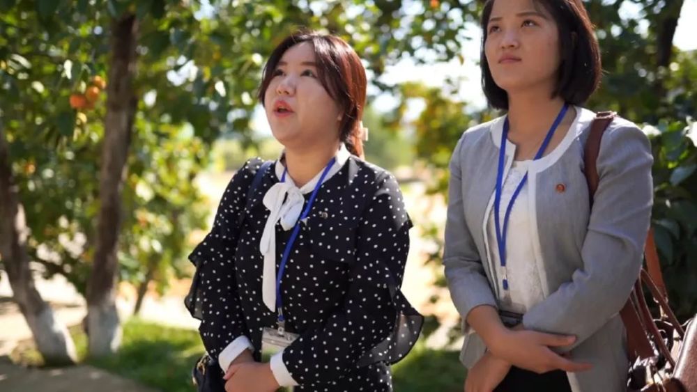 【朝鲜世界2】22集:朝鲜合作农场的田地里,庄稼开始发黄,要丰收了