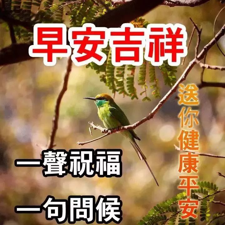 3月3日清晨早上好問候祝福動態表情圖片2022最新早安問候語動態圖片