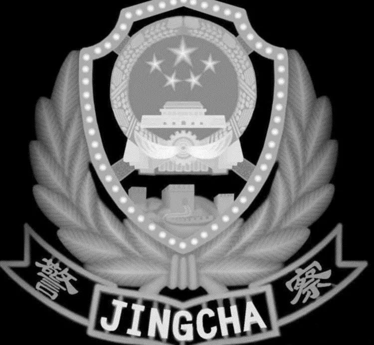 八一致敬集体退役的武警6大警种官兵