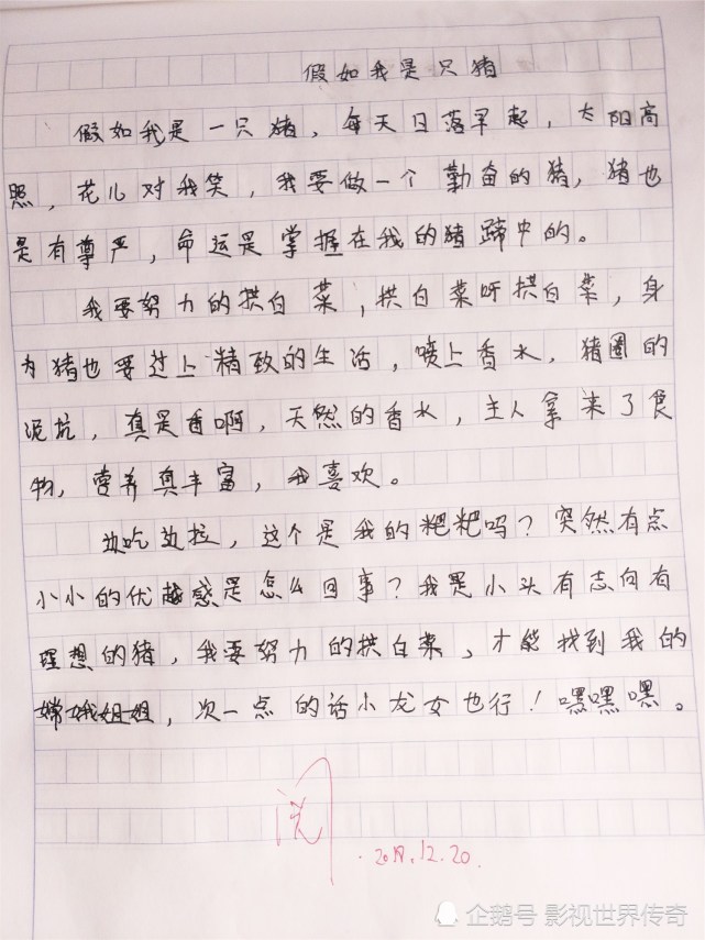 小学奇葩作文 假如我是只猪 老师不淡定 家长却夸奖 有志向 腾讯网