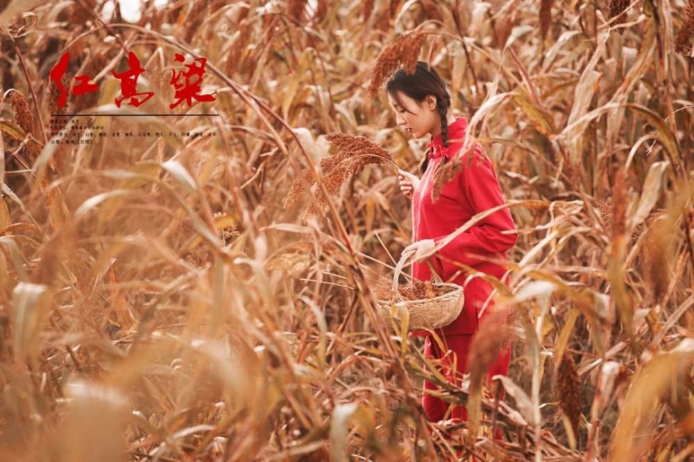 莫言红高粱民族抗日的人物悲欢慷慨悲歌