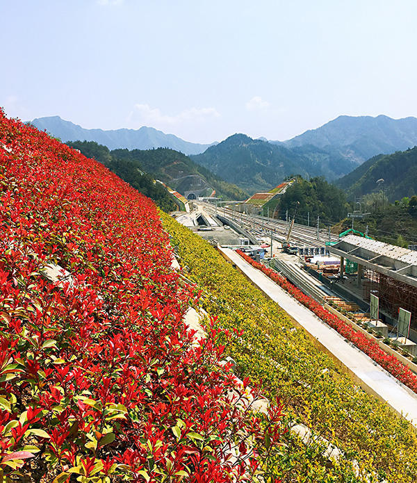 杭黄高铁技术创新:节省工程投资超3亿,绿化覆盖率超50%