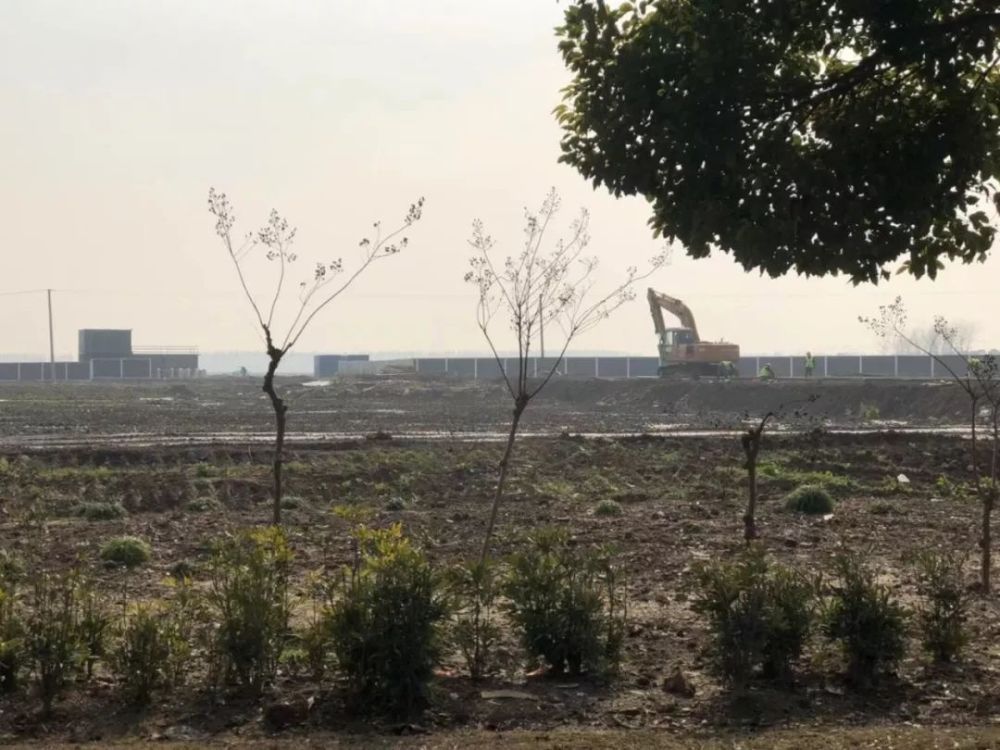 揭开特斯拉上海超级工厂面纱：尚未施工，2019年能否投产？