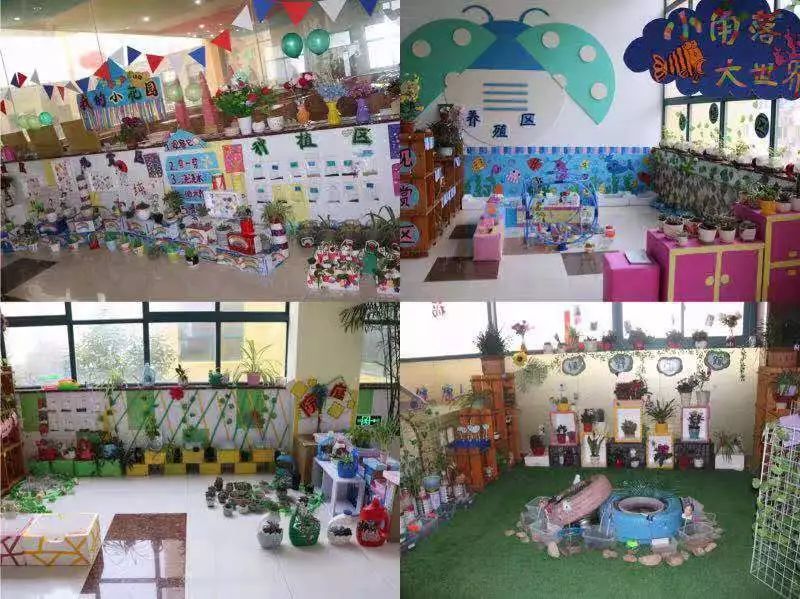 小角落里的大自然----建湖县新蕾幼儿园明星城分园报道