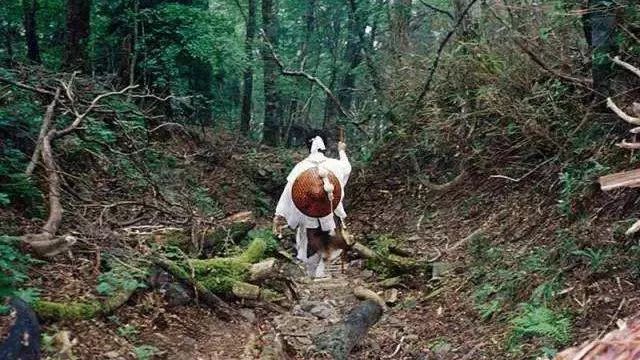 腾讯内容开放平台