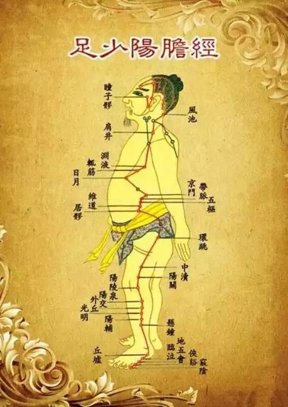 破解十二经络密码百脉调畅天人合一治五脏之病