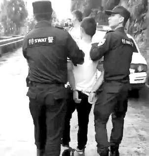 检察日报点评鸿茅药酒案:案件及时刹车 令人欣