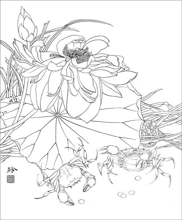 工笔画|工笔画《和谐图》图文步骤详解