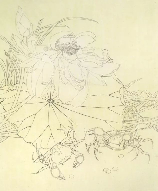 工笔画|工笔画《和谐图》图文步骤详解