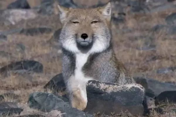 不好好吃饭,长得慢?这7大绝招,最快1周,让宝宝